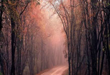 [国内]赔率前瞻：国足再战日本无拿分可能 数据一边倒.