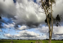 韦德体育官网：[图]哈登24+11希罗空砍31分 博格丹30+11快船胜热火.