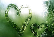 足协公布首批完成债务清欠俱乐部名单 中超三队未上榜.