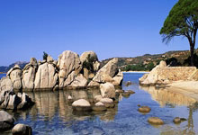 韦德体育官网：DO：枪手3亿镑预算传闻尚不确定 若日尼奥&托马斯离队可能性很大.